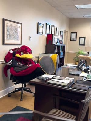 What would Cocky do first as USC prez? #draft #southcarolina #cocky #mascot #uofsc #usc  We're tracking the possible TikTok ban and, if it happens, we're going to miss you! Stay caught up with us on other socials. Search @UofSC on all platforms to find us. 