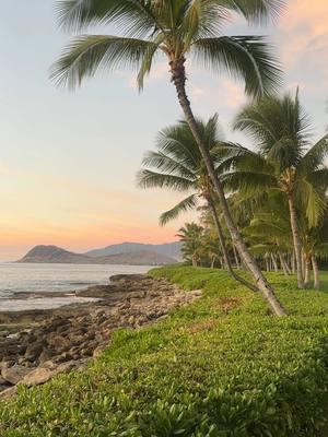 #hawaii #hawaiitiktok #Summer #summervacation #summerinspo #travel #travelinspo #beach #sea #ocean #palmtrees #sunset #sunsetlover 