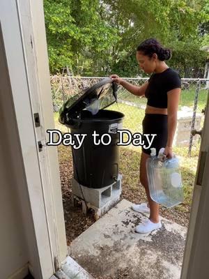 Day to Day #fyp #foryoupage #tiktok #garden #rainwater #rainwatercollecting #plants #plantsoftiktok 