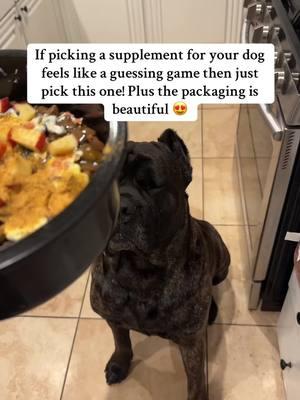 #creatorsearchinsights He goes nuts over the smell too, and it smells like actual ingredients too not packaged crap. 100% getting this again 🐾🐕‍🦺 #canecorsolovers #frontofthepack #dogsupplements #healthypups #allinonesupplement #doghealth #caninenutrition #canecorsomastiff #servicedogsoftiktok  