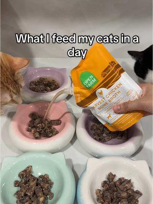 A day's worth of food ☺️💗 #catfood #catfeeding #feedmycats 