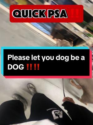 There are a lot of boundaries that can be incorporated into a dogs life without taking the dog out of the dog. We got to better by finding blanace in between what we set as boundaries and dogs being dogs‼️😎 . . . #ajdogtraining #dogtrainingtips #DogTraining #dogtrainer #fypシ #explorepage✨ #puppytiktok #training #puppy #xlbully 