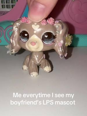 The fact he wants to be a part of this is so sweet to me 🥺🫶🏼 #bf #lps #lpstiktok #littlestpetshop #lpscollector #lpsskit 