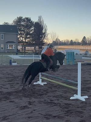 Figured id make a tiktok before it gets banned. 😂🤘🐴 #fyp #trending #welshcob #pony #jumper #horses #equestrian #progress 2025 is off to a great start for Twister and i! 