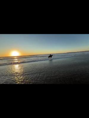 POV from Stephan riding #lordxalvador #gypsian #stallion #morrobay #california #californiadreaming #sunset #beachsunset #sunsetlover #beachlife #horsebackriding #noworriesbeachrides 