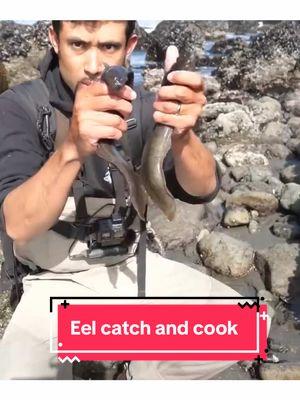 Catch and cook eel in a fancy resturaunt! #catchandcook #fishinglife #foraging 