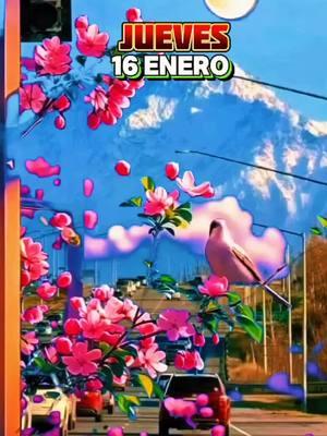 Buenos días feliz Jueves 16 de Enero del 2 025 Bendiciones para tod@s #felizjueves #viral #jueves16deenero#16deenero#felizjuevesparatodos🌼🦋🌺 #diostebendiga#buenosdias 