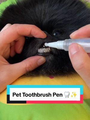 Pet Toothbrush Pen 🦷 ✨️  #dogteeth #brushingteeth #dogproducts #dogs 