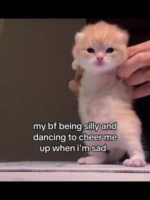 its much needed and appreciated 🤕🥲🤧 #gf #bf #boyfriend #girlfriend #Relationship #relationshipgoals #couple #cute #catmeme #catlover #kitten #kitty #meow #sillycat #dancingcat #ilovemygf #ilovemybf 