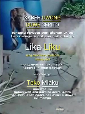 #asallamualaikum #capcut #selamatsiang#kabeh uwong duwe cerito#storyjowo#storywa #fyp 