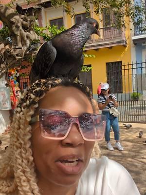 Part 1: I got attacked by pigeons while on vacation to San Juan PR  #funnymoments #funny #viral #attackedbybirds #attacked #pigeons #alotofbirds #birds #helpme #beingchased #pov #reels #lordhelpme #🤣🤣🤣 @blaxicana_j 