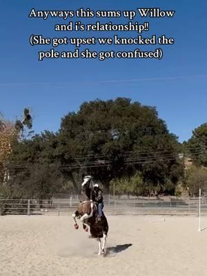 Not mariska laughing 🤗 #savycowgirl__ #horsesoftiktok #fyp #Godlovesyou #viral #foryoupage #barrelhorses 