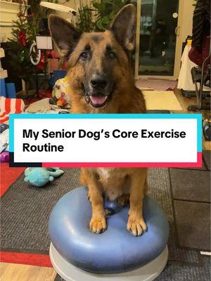 Last workout before my trip! All the canine fitness equipment are listed in our Amazon’s List “Canine Fitness Essentials”  #canineconditioning #DogTraining #dogmom #dogparents #seniordog #dogfitness #dogwellness #germanshepherd #foryoupage 