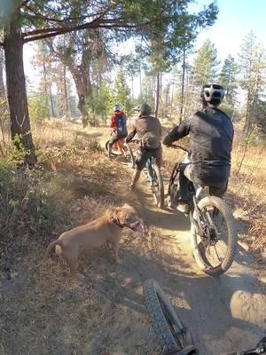 Live life ##mtb##mtblife##mtbtrail##mtbforyou##mtbchallenge##pitbullsoftiktok##pitbull##diamondbackbike##menifeebikeshop##diamondbackbikes##pitbulllovers##diamondbackmtb##pitbulllove