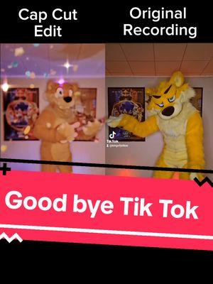 for the last week of tik tok heres a side by side of The original recording and the edit. #furry #furries #fursuit #fursuiter #furriesoftiktok #fursona #yellowotter #kingofyellow #bananaotter #fursuitsoftiktok #Goodtime #funwhileitlasted #tiktok #wasfun #tiktokban 