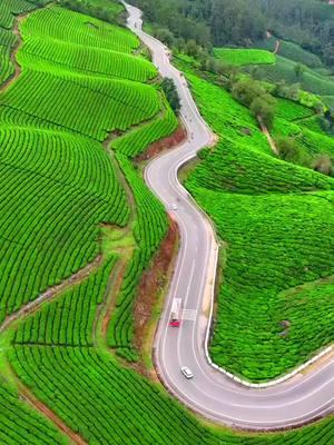 Beautiful Munnar... 😍😍👌👌💞💞❤🥰🥰#noufal_kl10 #സഞ്ചാരി #യാത്രയെ_പ്രണയിച്ചവൻ #മലപ്പുറംകാരൻ #godsowncountry #kerala #nature #പ്രകൃതി #yathra #traveling #travel #bullet #royalenfield #malappuram #ksa #jeddah #dxb #dubai #mallu #usa #india #indian #uae #munnar #munnariaz #munnardiaries #idukki #idukkikaran #idukkikari #idukkivibes 