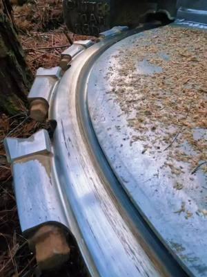 Saw struggles cutting 90 inch old growth pine.#fyp #tigercatforestry #ballantinesawteeth #saw 