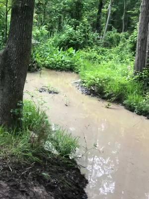 How Deep? #muddynutzplayground #fyp #makinmemories #4x4 #mud #4x4offroad #mudlife #Delaware #jeep #jeepsoftiktok #biltnotbought #enjoylife #jeeplife #offroad4x4 #offroadtiktok 