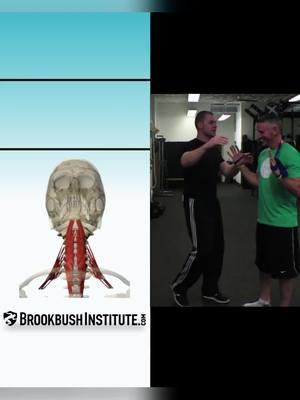 🔴 Reactive Activation for Deep Cervical Flexor Video clip from the online course "Deep Cervical Flexor Activation": The course counts for 1 credit toward the Brookbush Institute certifications and is pre-approved continuing education. Watch the full video and take the course! Go to our profile 👉 @BrookbushInstitute Click on linkin.bio/brookbushinstitute Choose this image 🔵 Brookbush Institute offers: • Certified Personal Trainer (CPT) Certification • Human Movement Specialist (HMS) Certification • Integrated Manual Therapist (IMT) Certification • 180+ CEC-approved courses • Courses on desktop or mobile • 500+ videos & 500+ articles • New features and content added weekly! 🔴 Completing courses and certifications has never been easier, and the quality of courses has never been higher! #humanmovementspecialist #effectivetreatment #athletictrainer #correctiveexercisecertification #fitnesscertification #correctiveexercisespecialist #correctiveexercise #rehab #physicaltherapy #physicaltherapist #humanmovementscience #sportsmedicine #sportsperformance #posturecorrection #performancecoach