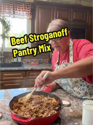 #pantrymix #mealsinajar #beefstroganoff #beefstroganoffrecipe #dinner #fyp #fypageシ #fypage #fypシ 