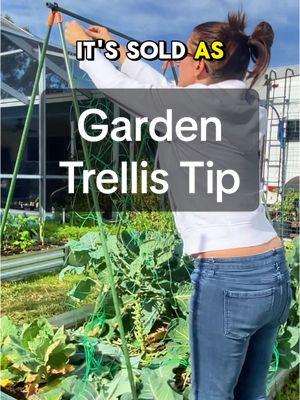 My favorite trellis for vining plants is the A-frame trellis—it’s lightweight, movable, and easy to use. Check out Garden Products in my Amazon store. #gardentips #gardening101  #gardentools #gardeningforbeginners #gardenproject  #creatorsearchinsights 