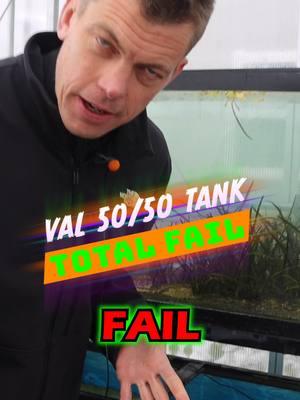 TOTAL FAIL! Here in the Val 50/50 tank, we had a fail while we were away. What are your thoughts on this? Here we have Val Asiatica Biwaensis and Vallisneria Spiralis Leopard. We are going to see how these two Vals grow differently and the care they need. What are your thoughts on this? Grab yourself some of these plants while they are in stock! If they are (SOLD OUT) you can sign up on the products page to be notified when it's back in stock! Shop Now! TANK ON! 👇👇👇 Val Asiatica Biwaensis (SOLD OUT)👇👇👇 https://dustinsfishtanks.com/products/val-asiatica-biwaensis-thick-corkscrew-val Vallisneria Spiralis Leopard (SOLD OUT) 👇👇👇 https://dustinsfishtanks.com/products/vallisneria-spiralis-leopard?variant=34694627852438 #fail #fails #totalfail #aquarium #aquariums #aquascape #aquascaping #aquariumplants #scape #fishtank #freshwateraquarium #plants #plantlife #planted #plantedtank #plantedaquarium #aquascape #aquaticplants