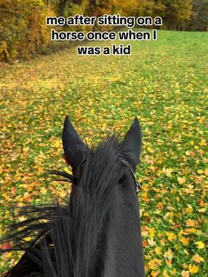 Yeah, it was game over then #equestriansrelate #equestrianlife #eventing #ottb #horse #eventer #equestrian #horses #dressage #equestrianvibes #eventinglife #ottblove #horsegirl #horse 