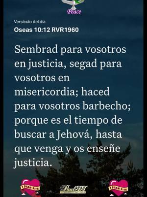 Óseas 10:12 RVR1960 #versiculodeldia #labibliaapp #juan316 #jesus #fe #amor #fuegodelespiritusanto #pauljjmusic🙏🏻📖🙌🏻👍💡 