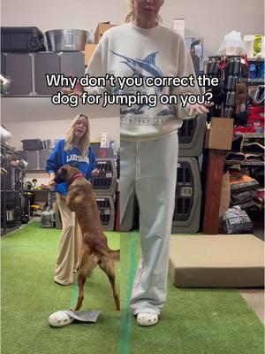 Great question! I’m allowing my dog to jump on me in this moment. Why is that? Let’s talk about it! #DogTraining #malinois #malinoistraining #dogtrainer #dogsoftiktok 