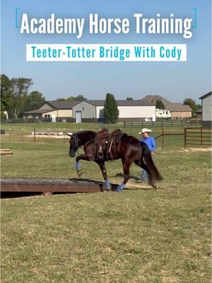 Academy Horse Training: Teeter-Totter Bridge With Cody With Cody confident about crossing the stationary bridge, Jeff and Serena increase the challenge by asking the gelding to go across the teeter-totter bridge. Watch the full training session now by logging on to the Downunder Horsemanship app or the No Worries Club website.  #ApplyTheMethod #downunderhorsemanship #clintonanderson #horsetrainer #horse #horsetraining #horsemanship #academyhorse #obstaclecourse 