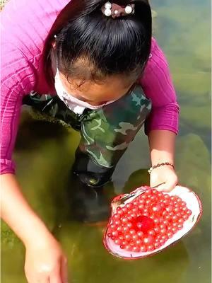 😱😱Giant clams, oversized purple pearls #pearl #pearlhunter #seafood #jewelry #pickingpearls #huntingpearl #fyp #foryou #tiktok #usa_tiktok 