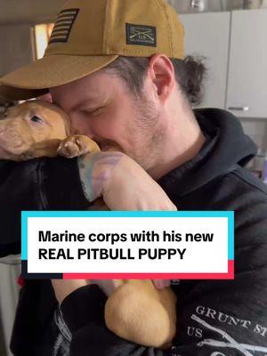 RED NOSE PITBULL puppy with his new marine owner - Great dogs deserve great owners ♥️♥️ I decline breeders, animal abusers, dogfighters, low level humans. I PROTECT MY DOGS and I don’t need 💰 my dogs first  #marinecorps #realpitbull #gamedog #rednosepitbull 