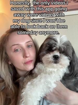 There’s so many reasons why this ban is cruel. #tiktokban #tiktok #agirlandherdog #dogmom #dogsoftiktok 