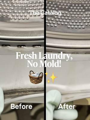 Say goodbye to stubborn mold stains! 🧺✨ This washing machine cleaner is your secret weapon for a fresh, spotless laundry setup. Tap the link in bio to see it in action! #CleaningHacks #FreshLaundry #HomeEssentials #SmartCleaning #AmazonFinds #LaundryGoals #MoldFree #CleanLiving #DeclutterYourSpace #SpotlessHome #thecatalog #lovetoknow