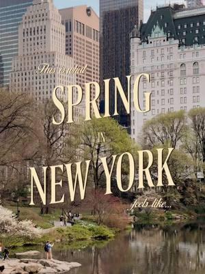 got a bad case of the winter blues?? well I’ve got some good news for you: spring is just 2 months away!! 🌷🌞🌳💐🏙️✨ all clips taken mid march - early april 2024 shot on iphone 4k at 30fps new york city #ethanbarberco #newyorkcity #lifeinmanhattan #springtime #springinnewyork #ues #uppereastside #nycgo #newyorker #newyorkphotographer #nostalgia #iloveny 