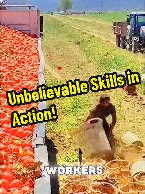 Mastering the Unbelievable: These Everyday Tasks Will Blow Your Mind!#skills #respect #amazing #smartwork 