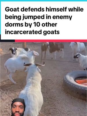 Goat defends himself while being jumped in enemy dorms by 10 other incarcerated goats #shiesty #skimask #4extra #offtheback #truecrime 