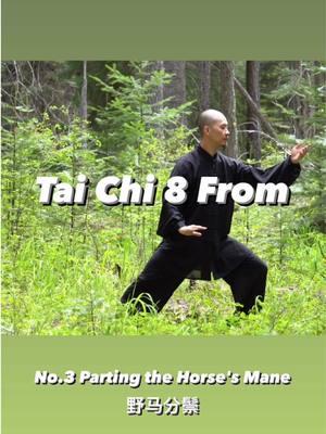 No.3 Parting the Horse’s Mane-Tai Chi 8 Form  ✅Online learning available on 👉daouniverse.com #jianfengchentaichi #taichi #taiji #taijiquan #taijiqigong #taichiyang #taichichen #taichiclass #taichichuan #taichibeginner #taichionline #taichiqigong #qigong #balance #zen #dao #tao #mindfulness #flow #energy #healthylifestyle #healthy #yinyang #mobility #太极拳 #nature #kungfu #wushu #nature 