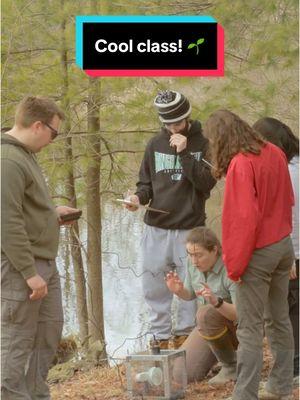 COOL CLASS ALERT! Students in this environmental studies course discover data all around them -- by exploring nature! 🌳🌱🐸 #binghamtonuniversity #binghamton #college #university #campus #collegecampus #universitylife #studentlife #collegelife #binghamtonu #binghamtonny #campuslife #school #class #environment 