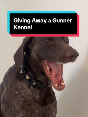 Good luck to everyone! #gunnerkennels #dogkennels #dogs #gsp 