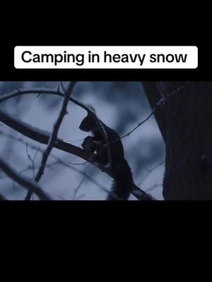 Camping in heavy snow #wood #stove #portable #america #usa🇺🇸 #usa_tiktok #TikTokShop #outdoor #tiktok #car #camping #camp #campinglife #campinghacks #campingideas #campingfood #campinggear #campingtrip #campingtents #Outdoors #outdoorlife #california #foryoupage 