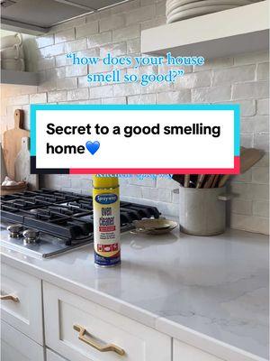 Shoutout Sprayway for a good smelling home💙 #sprayway #spraywayclean #cleaningmotivation #smellgoodfeelgood #CleanTok #cleaningproducts #bestglasscleaner 