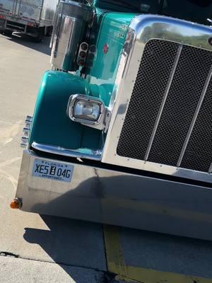 Posted up like a mailbox😎 #florida #peterbilt #95thstreet #ltl #eastcoastlargecars #jtcarriers #trucking #outlaw #@Tommyg 