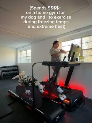 Honey, I can’t critically think FOR you 🤠 #dog #dogs #dogtok #run #runtok #Running #dogtreadmill 