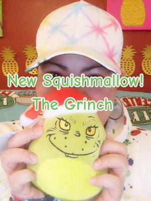 SQUISHMALLOW TIME -- Welcome The Grinch!  Should he stay out with the others OR get put away with the holiday decor until next year? #squishmallows #squishmallowcollection #grinchsquishmallow #happyness *My 🔗🌳 on profile has ALL the places you can find me* #crystalchats #pineapplepeace🍍✌️#pineapplepeacemovement   #yourenotalone #inittogether  #mentalhealthadvocate  #lesbiansoftiktok  #fluidlove #authenticlesbian 