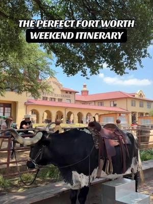 ✨🤠 HOW TO SPEND A WEEKEND IN FORT WORTH  // WHERE TO EAT, ACTIVITIES, THINGS TO SEE 🌆✨ #FortWorthLoveList // Here is your perfect Fort Worth weekend itinerary with all of the things to do, places to eat and sites to see. 🤠 ✨ WHERE TO EAT // - Grab a coffee and breakfast pastry from @Ampersand Coffee & Bar from their 7th street or TCU location. ☕️ - Grab a marg and enjoy Tex-Mex from the popular Joe T Garcias. 🍹 - Have dinner at the Hudson House. They have delicious martinis and craft cocktails, oysters and an incredible cheeseburger! 🦪 - Chow down on BBQ at the newly opened @Terry Black’s Barbecue . 🍗 - Have brunch at Fitzgerald 🥂 ✨ WHAT TO DO // - Explore the cultural museum district and visit the Amon Carter, Cowgirl Museum + FWMSH ($12 for both) and the Kimbell.  - Walk around the Stockyards to shop, drink and see the daily cattle drive at 11:30am/4pm. 🐄 - Dance the night away at Billy Bobs. 💃🏽 - Get cute pics with the giant disco ball cowboy hat in Sundance Square and do some shopping. 🤠 - Visit the FW Botanic Garden for a taste of nature. 🌺 Add it to the Love List 💕✨ #weekenditinerary #fortworth #fortworthtexas 