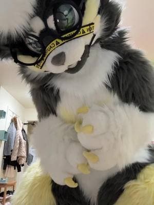 Buddy 🥹  #furryfandom #furyou #furrytiktok #furry #fursona #furrytok #furrycommunity #furrytiktoker #furrytrash #furries #furriesoftiktok #furrytrend #furrydance #antizoofile #fullsuit #fullsuiter #trend 