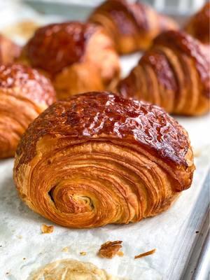 Natural levain, made from scratch daily artisanal pain au chocolats made with @valrhona chocolate batons and organic, locally milled flour. With natural levain, it takes three days from mix to bake, and it’s worth it for a truly natural, traditional croissant all butter 🧈 dough.  #french #bakery #sanfrancisco #marin #marincounty #millvalley #bayarea #baker #bakerylife #bakery #sanfrancisco #breakfast #brunch #croissant #viennoiserie #croissants #makingcroissants #eeeeeats #inthekitchen #pastry #pastrychef  #huffposttaste #eatersf #sfeats #sfrestaurants #sffoodie #topsfrestaurants #bayareafoodie #sfrestaurants #bestfoodsf #tastesf #alwayssf #infatuationsf #feedfeed #bayareaeats #fyp #foryou #foryoupage 