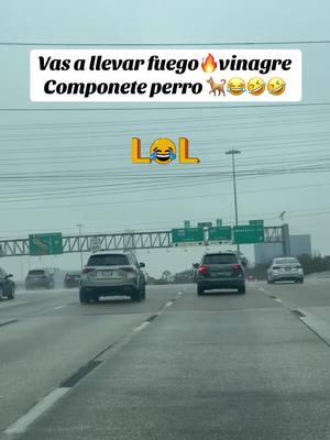 #🤣🤣🤣 #viraltiktok #paratiiiiiiiiiiiiiiiiiiiiiiiiiiiiiii #vasallevarfuegobasura #estoestaperroseñores #humor #componeteperro #houstontexas 