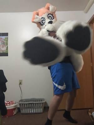 bf time!!! he didn't want his face shown lol #fursuit #furrytiktok #furryfursuit #fyp #furry #furryfandom 